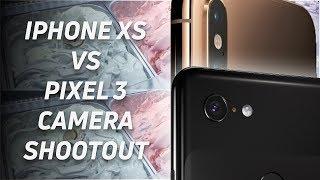 Pixel 3 vs iPhone Xs Camera Comparison: Portrait Mode and Super Res Zoom