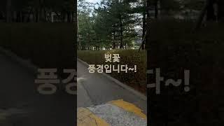 따스한 봄이 왔네요~!