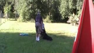 Southern Pride Kennels,Southern Florida K9 Training