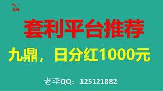 日赚1000元，九鼎平台推荐，彩票、博彩平台刷单、对刷、套利方法