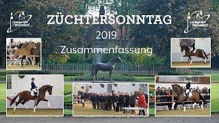 ZÜCHTERSONNTAG 2019 IM NRW LANDGESTÜT WARENDORF