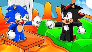 ROBLOX FLOOR IS LAVA with Sonic & Shadow!