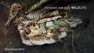 3LI English Class Video   Ocean Pollution