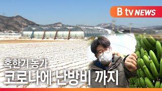 [B tv 기남뉴스]혹한기 농가 '잔혹한 겨울'...코로나에 난방비까지