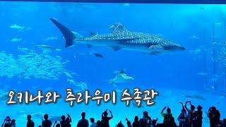 #2 오키나와 추라우미 수족관 | 스타벅스 모토부점 | 오키나와북부 맛집 플리퍼 | With 현지인