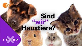 Wann ist ein Tier ein Haustier? | Terra X plus