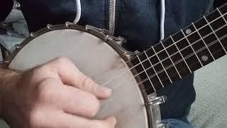 Needle Case in 2-Finger Style Banjo