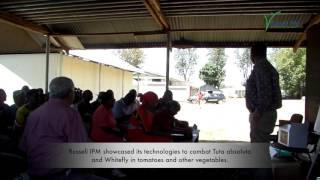 Video 1 Russell IPM at Farmer's Day in Arusha, Tanzania 2015