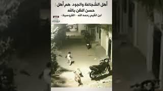 الطفل الشجاع يقف بقوة أمام هجوم الكلاب