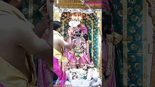 Shri Ranchhodraiji live Darshan Dakor Temple