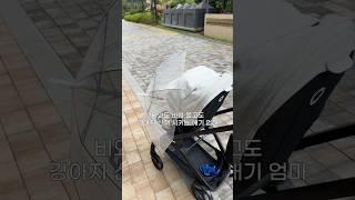 이 날씨에 나가는 사람, 저예요