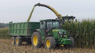  MAIS SILAGE | JD 7450i + KEMPER 445 | JD 6920S, 6125R, NEW 6105RC | LAMBO R6.150 | NH M135, T6050