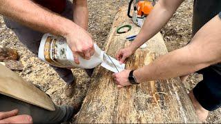 Splitting a Log in Half With Gunpowder