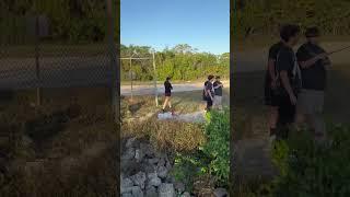 Explore Homestead Bayfront Park in FL