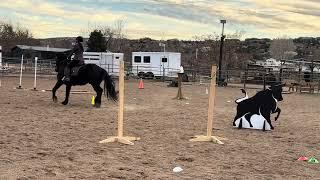 Lizann Dunegan and Mateo, Ease of Handling, Level 1, Amateur Division