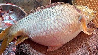 Amazing Cutting Skills | Big Carp Fish Cutting Skills Live In Fish Market