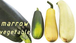 4k Мegetable marrow 3d scanned models