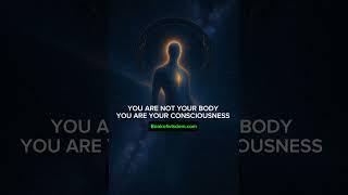 State of mind #spiritualawakening #spiritualjourney #consciousness #stateofmind