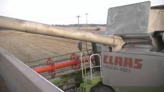 Letzter Einsatz für die Claas Lexion in diesem Jahr in FullHD