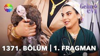 @gelinevi 1371. Bölüm 1. Fragmanı