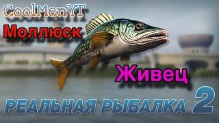 Где взять«Живец» и «Моллюск» в игре Реальная рыбалка 2?