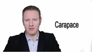 Carapace - Meaning | Pronunciation || Word Wor(l)d - Audio Video Dictionary