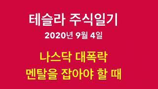 테슬라 주식일기, 20년 9월 4일 멘탈을 잡아야 할 ㄸㅐ