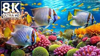Dive Into the Mesmerizing Underwater Realm - Marvel at Sea Animal in The Best 8K UHD Aquarium #1