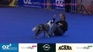 DOG TALENT - Nível 2 - Catarina Fernandes & CHEZA