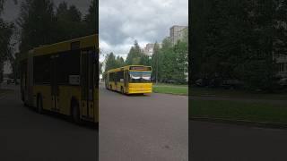 МАЗ-105Респект водителю! #maz #automobile #liaz