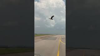 Daily Aviation Moments Airplane & helicopters- part 5 #shorts