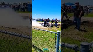 Harley does burnout #harleydavidson #burnout #hotrod #shorts