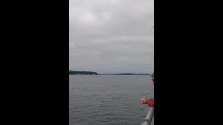 Puget Sound, Seattle 4K - The Most Amazing Waterfront  on The Earth - Relaxing Nature
