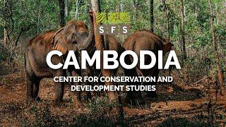Study Abroad in Cambodia | SFS - The School for Field Studies
