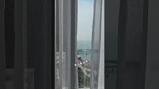 #베트남 남부