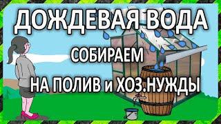 Сбор дождевой воды для полива и хозяйственных нужд