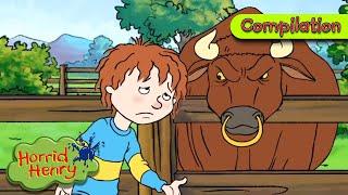 Henry and the Killer Bull! | Horrid Henry Compilation | Cartoons for Kids