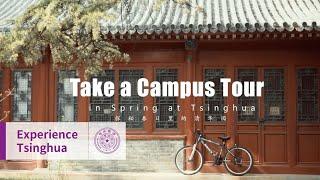 Take a campus tour at Tsinghua in spring