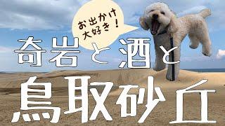 【鳥取砂丘】犬とお出かけ鳥取砂丘/奇岩の闘竜灘/富久錦の新酒「下天の夢」