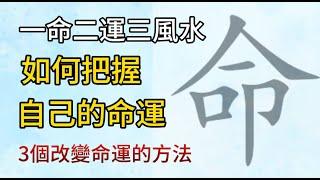 【這集不看會後悔】選擇比努力更重要？I 一命二運三風水四積陰德五讀書 I 人一生的天時地利人和