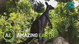 Amazing Earth: The mysterious "Sigbin" of Cebu