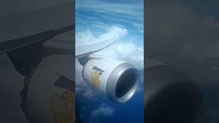 Pokémon flight - Lets go Pikachu - Scoot #shorts