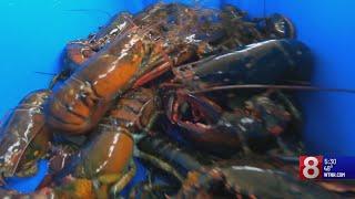 Fishermen still impacted by Long Island Sound's lobster die-off