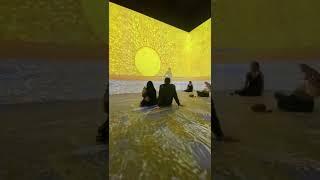 Van Gogh Immersive Experience - Scottsdale, Arizona