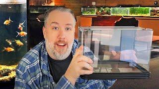 Tiny Tanks, Big Savings: Why Small Aquariums Are the Best Choice For Beginners