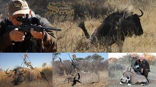 African Safari - Hunting Gnu, Kudu & Orix in Namibia