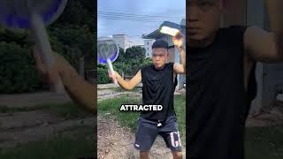 Electric Racket vs Swarm of Mosquitoes  (@suly_us)