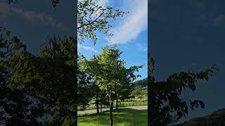 #Fall #Sky #가을 이다 시원한 가을바람이 분다
