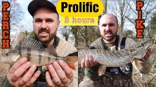 lure fishing for pike and perch - Epic session