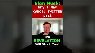 Elon Musk - The Only Reason I May Cancel Twitter Buyout